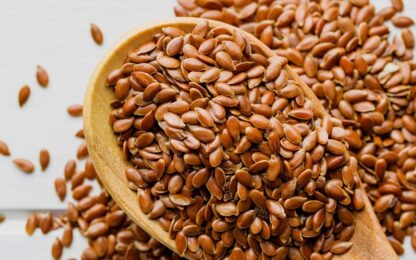 Flax Seed 100gm