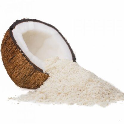 Coconut Powder 100 Grams